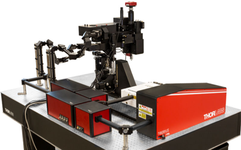 BBI core: Thorlabs two-photon microscope